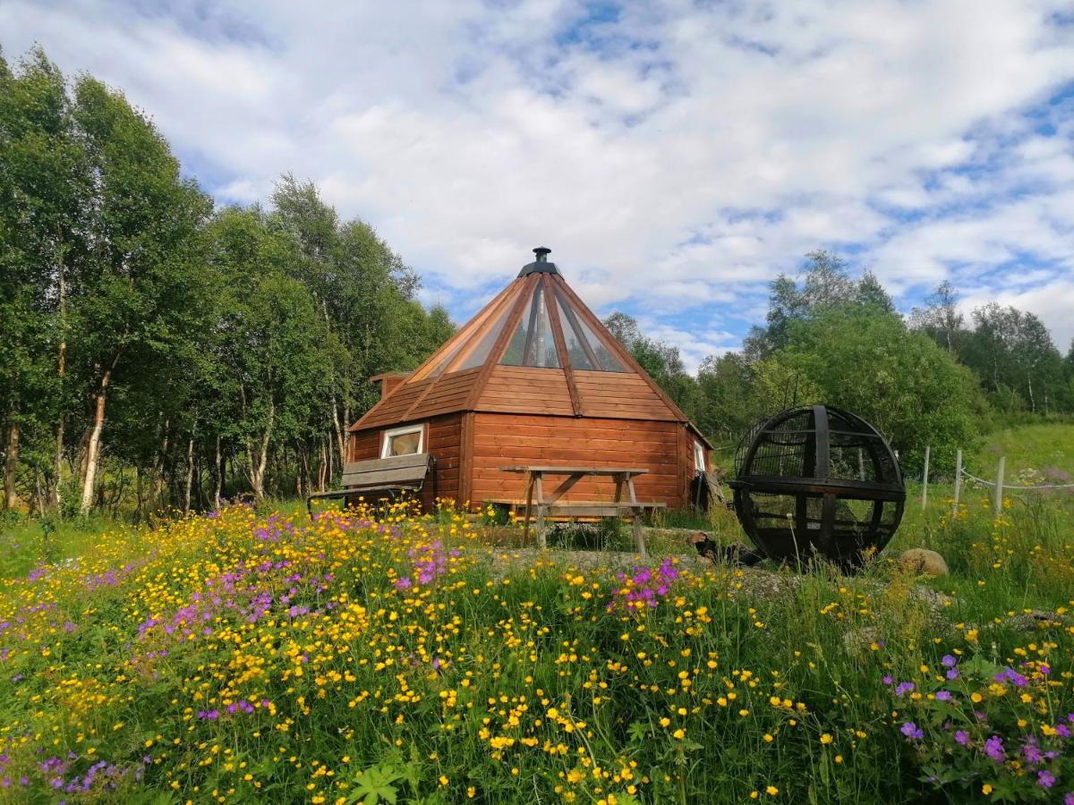 Hessdalen Ufocamp Apartment Varhus Bagian luar foto